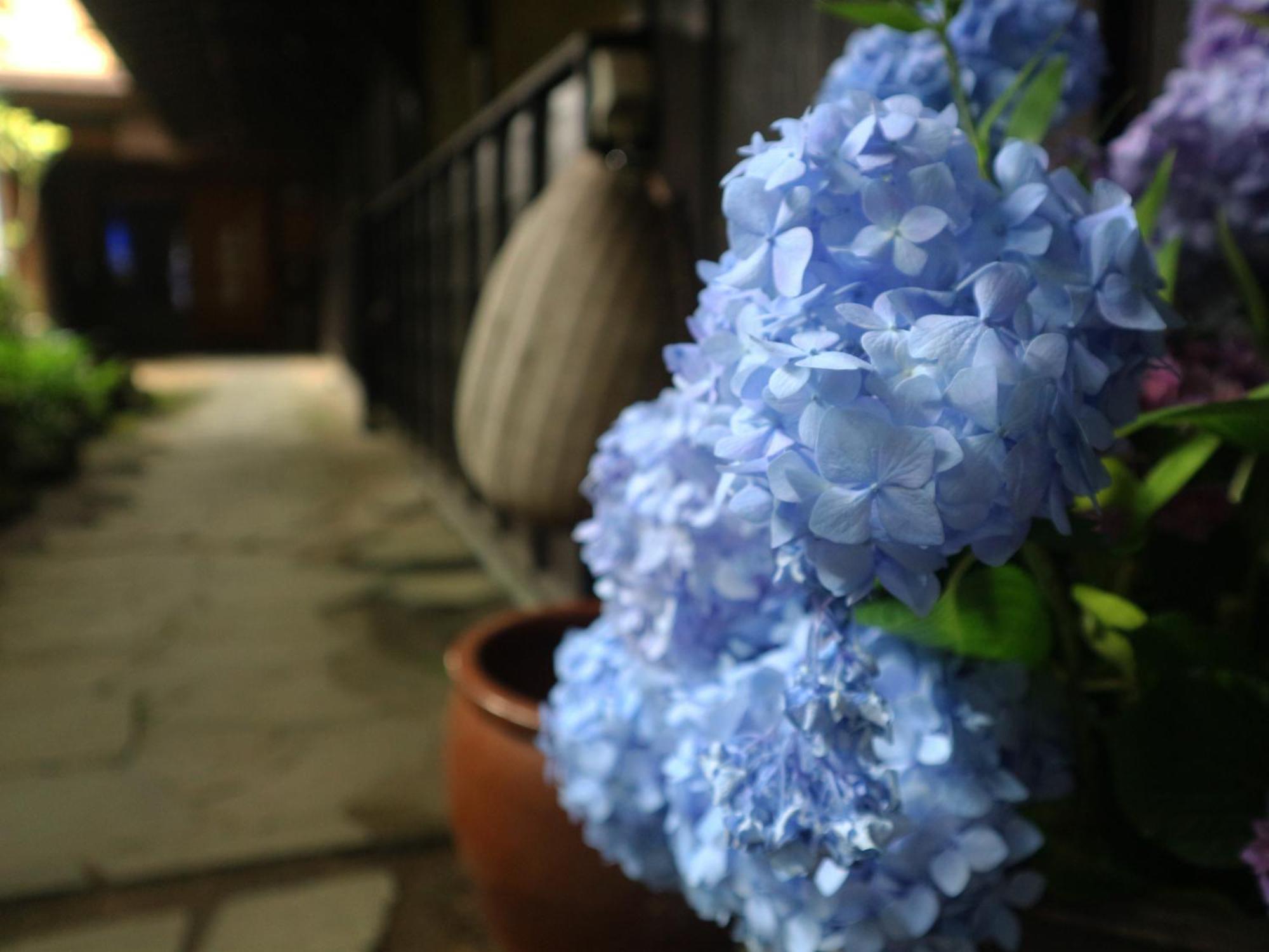 Отель Yunohira Kamiyanagiya Юфу Экстерьер фото